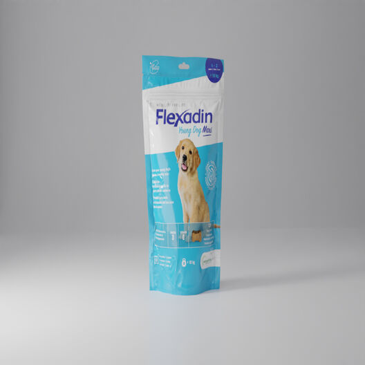 Vetoquinol Flexadin Young Maxi Condroprotector para cachorros, , large image number null